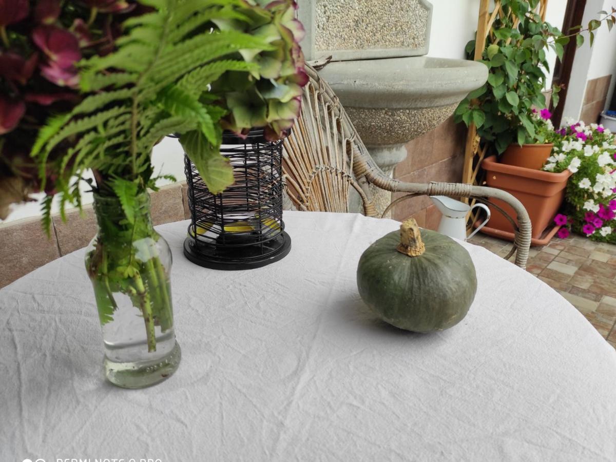 Maison Diletta Castelletto sopra Ticino Zewnętrze zdjęcie